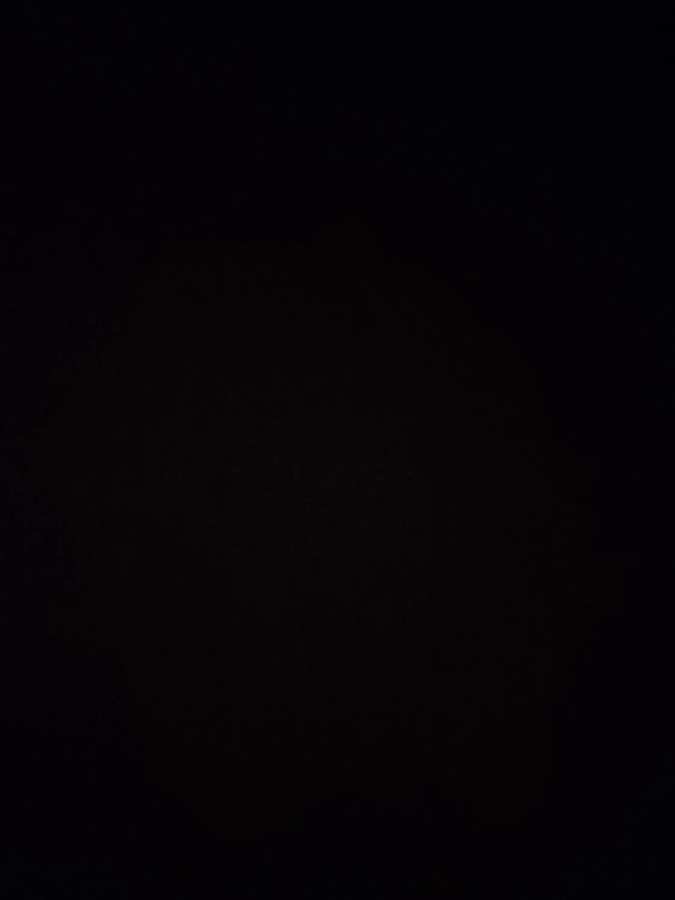 Snbbekje의 아픈 유저+여우(사진 출처:핀테레스트
