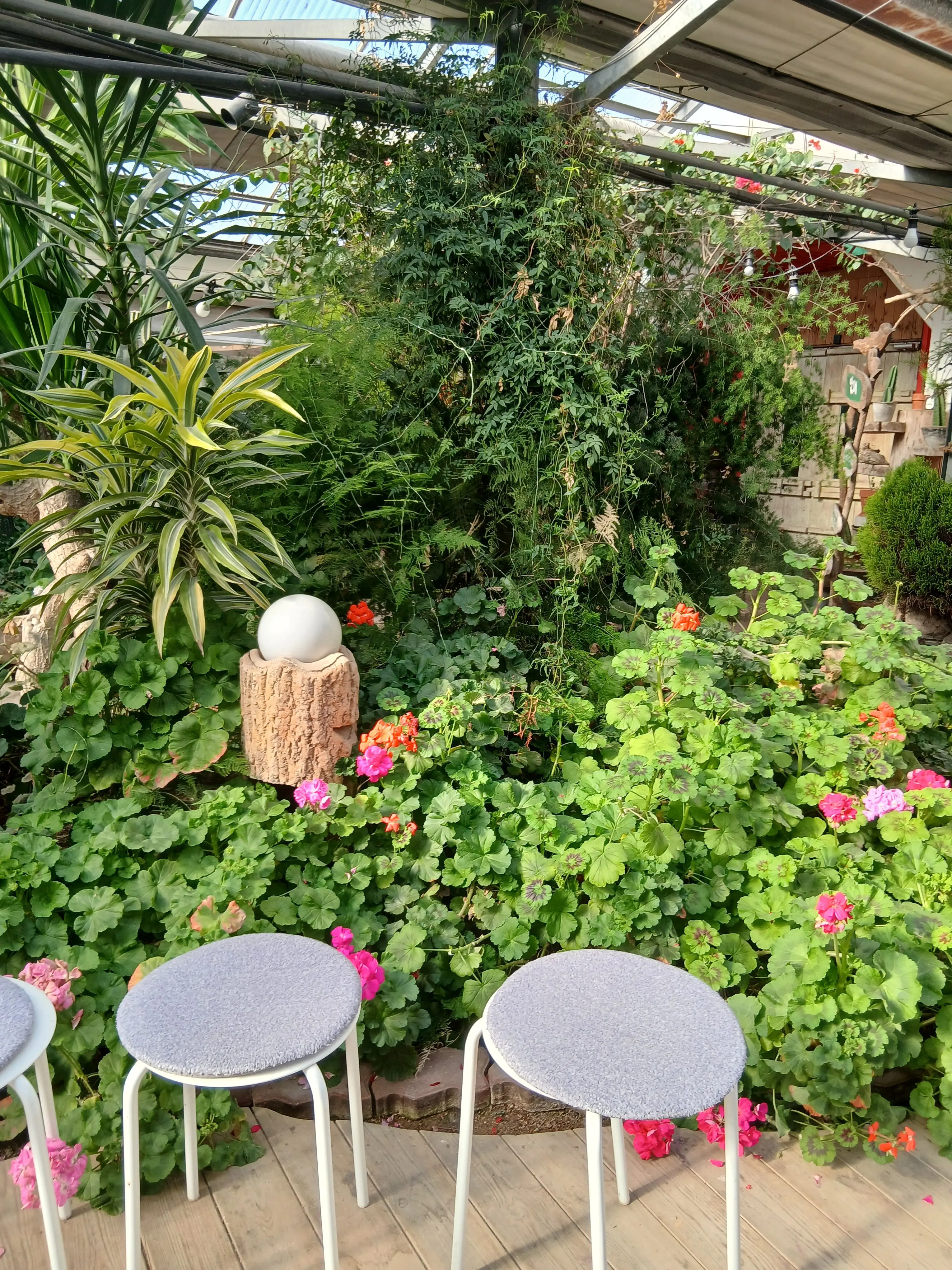 star1201의 전체 과부화 걸린 미수반