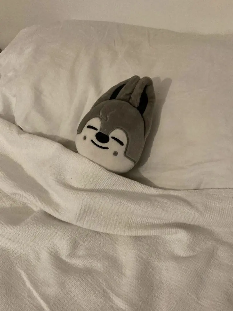 WOLF_CHAN_1003의 방찬