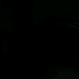 최승현 대표 이미지