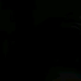 최승현