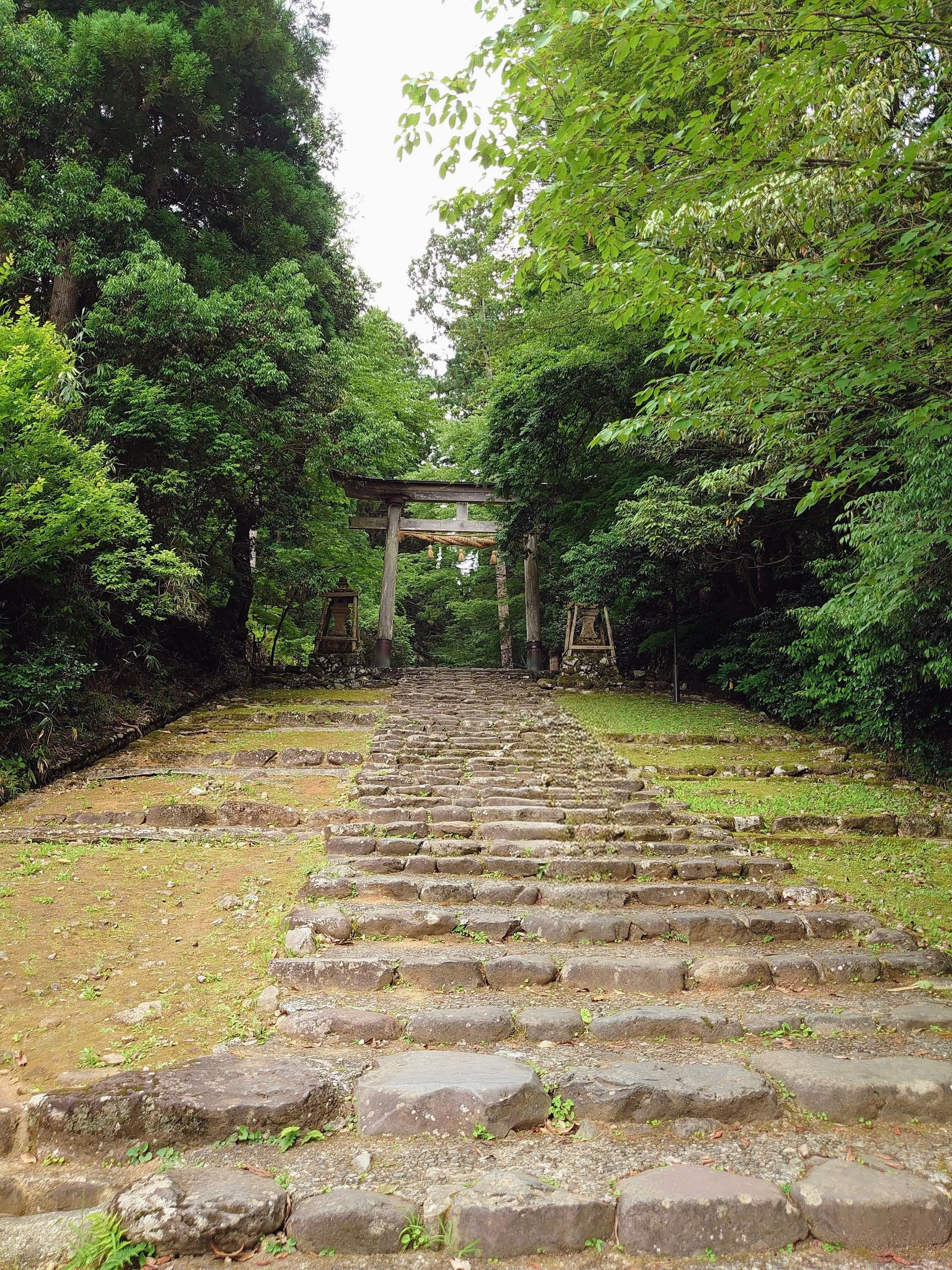 MorbidMoney9527의 サヨナラは言わない約束