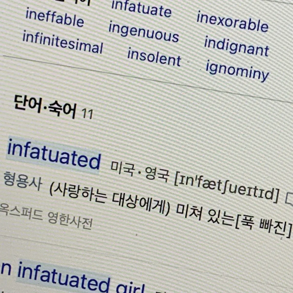 saxyfood의 덩치 값 못하는 바보..