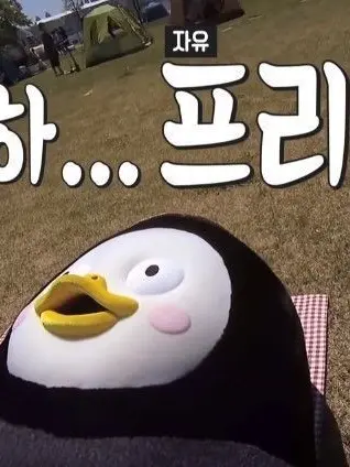 Seoha1234의 자유