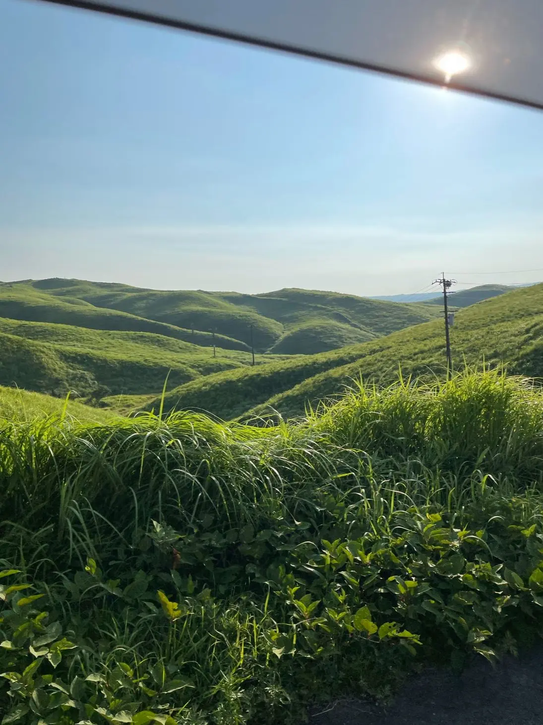 NarrowChain0251의 MBTIカオス屋敷