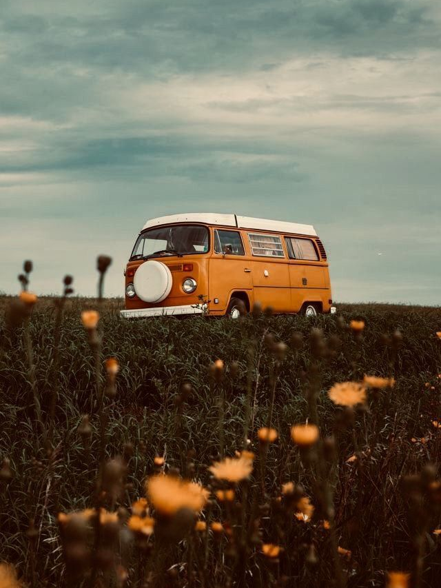 ▌ BORN TO BE ㅡ  ▌ 대표 이미지