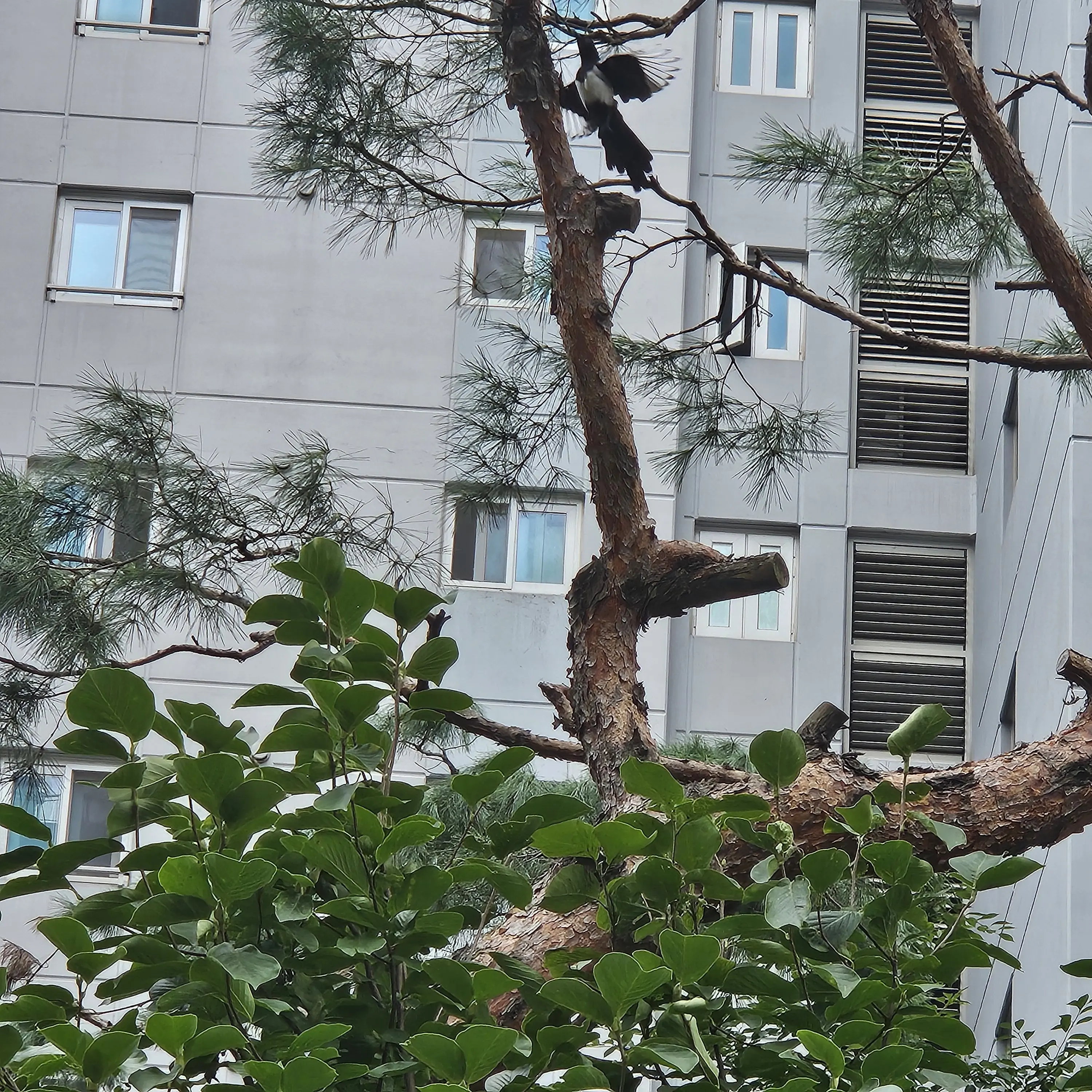 RowdyBeago6466의 리레볼루션 스쿨라이프!