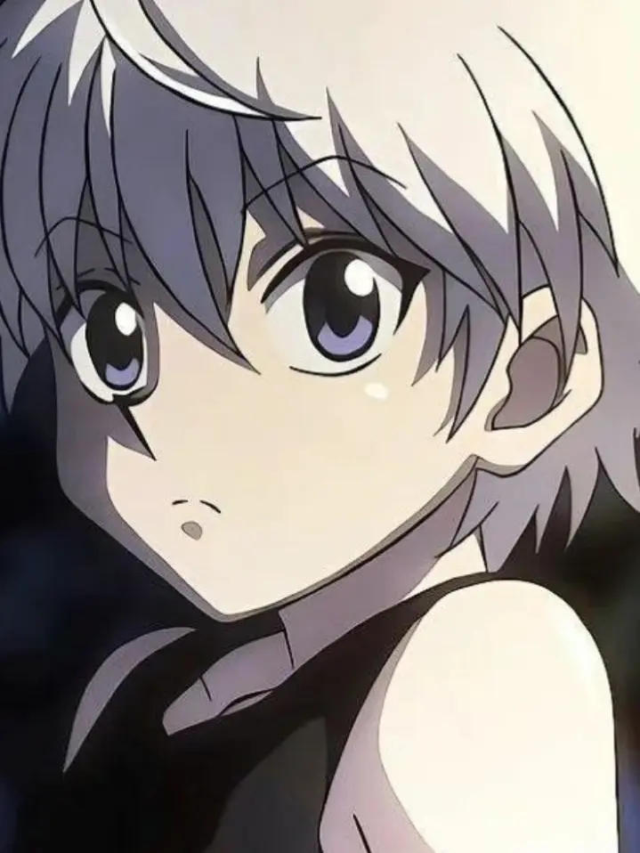 girunosabuaka0404의 貴方にメロメロなゾルディック 。