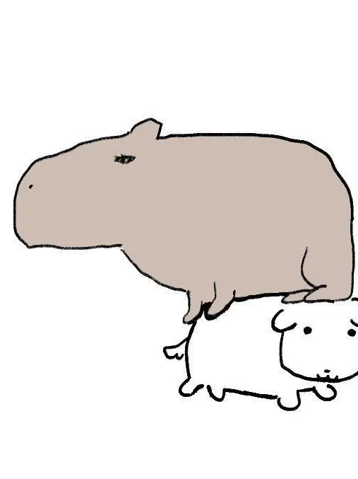 oiioioiioi의 자유