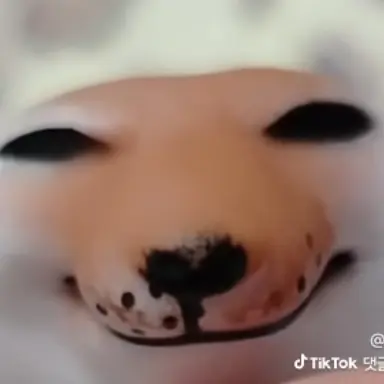 i_like_potato의 뉴비들 :3
