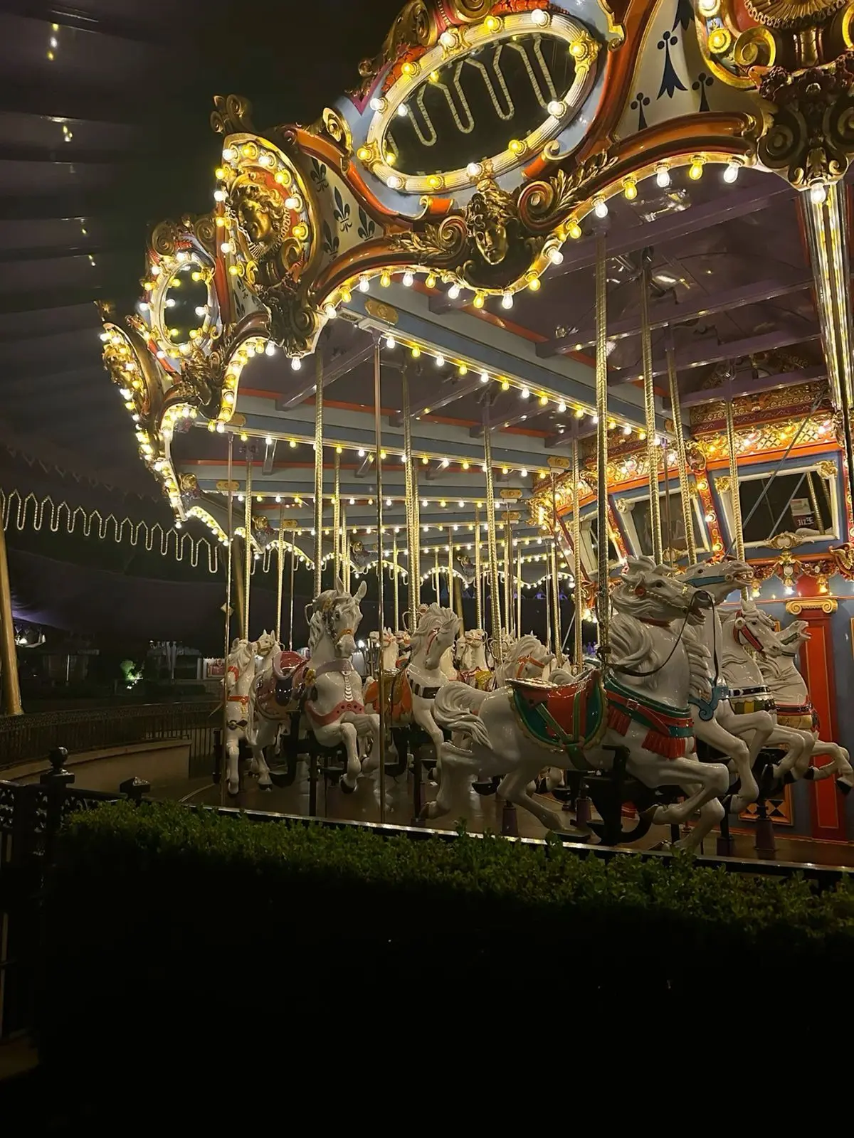 Real_yuro_yuro의 돈키호테