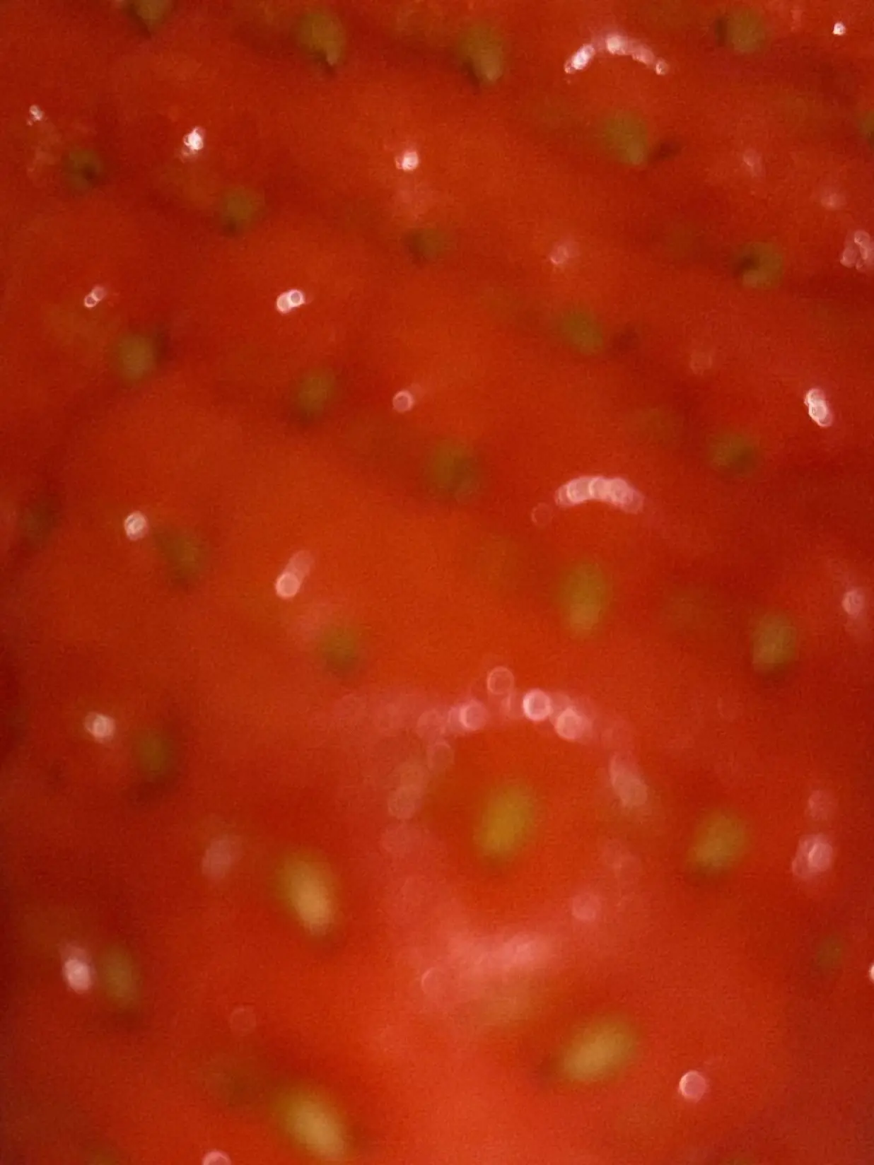 i3k.qm의 にいにがドブカスすぎる