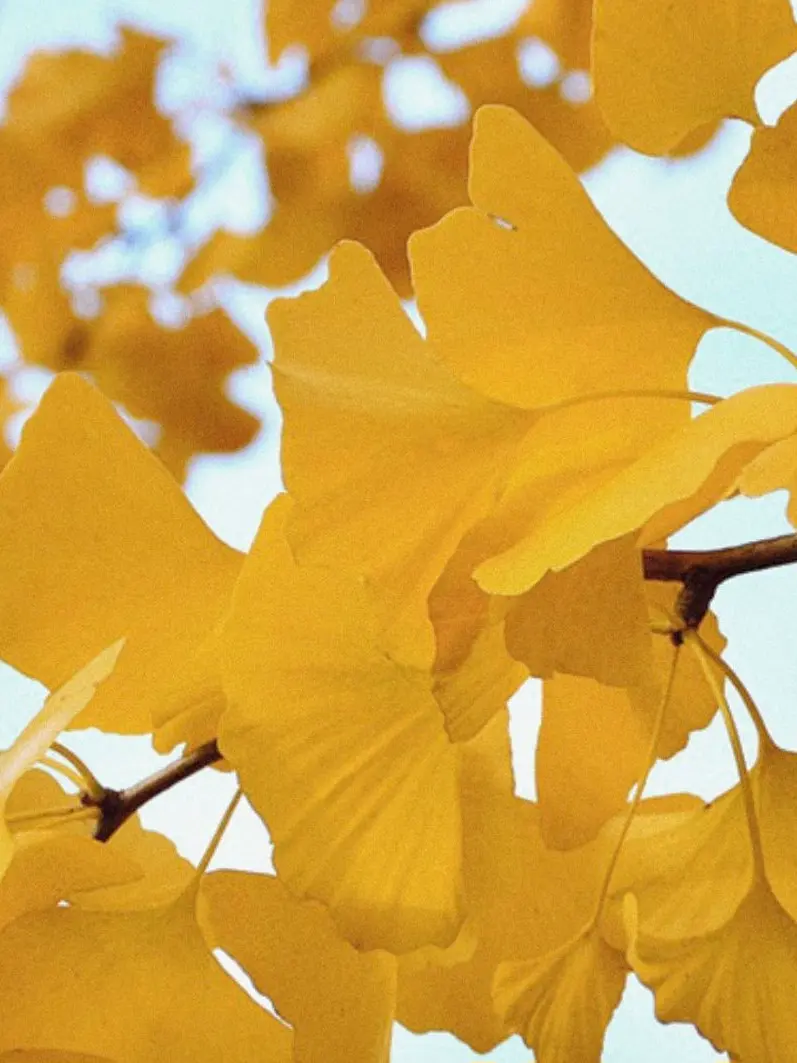 TidyDeath1157의 영원히 기억될 만남