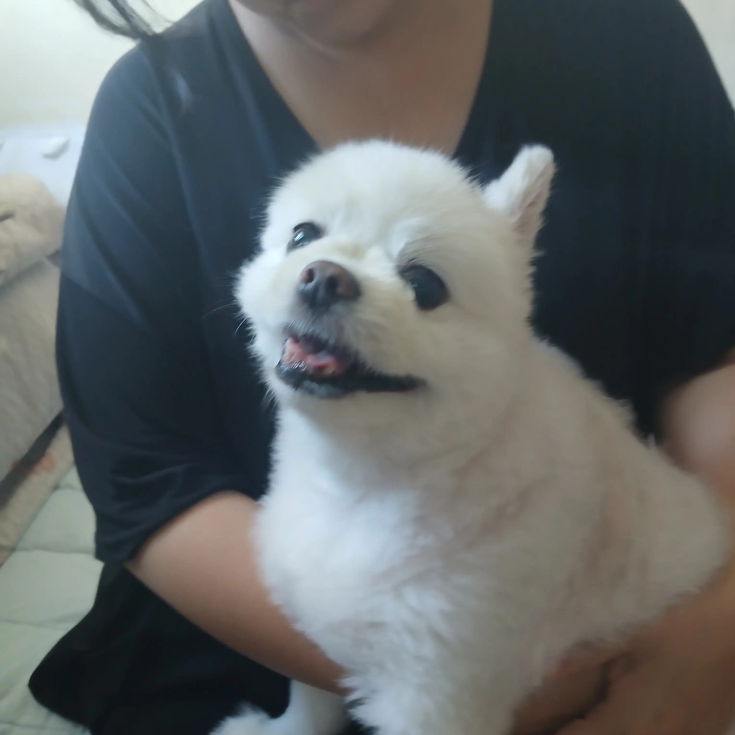 MistyHose5535의 배포 키우기