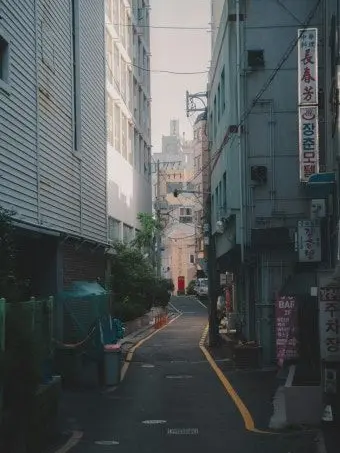 Nekoring-.의 私だけを見つめるマフィアと結婚した