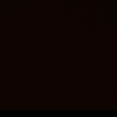정휘인