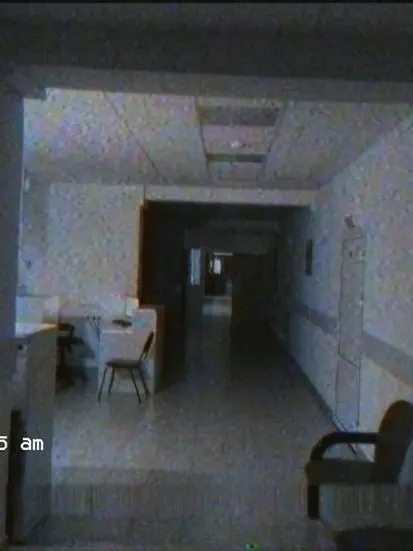 Gaidankosetsu의 AnimalHospitalFile_A