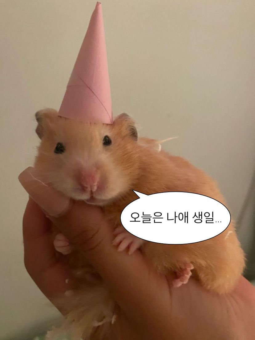 5/16일의 비밀... 대표 이미지