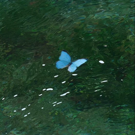 이제는 너가 겪을 차례야 💥