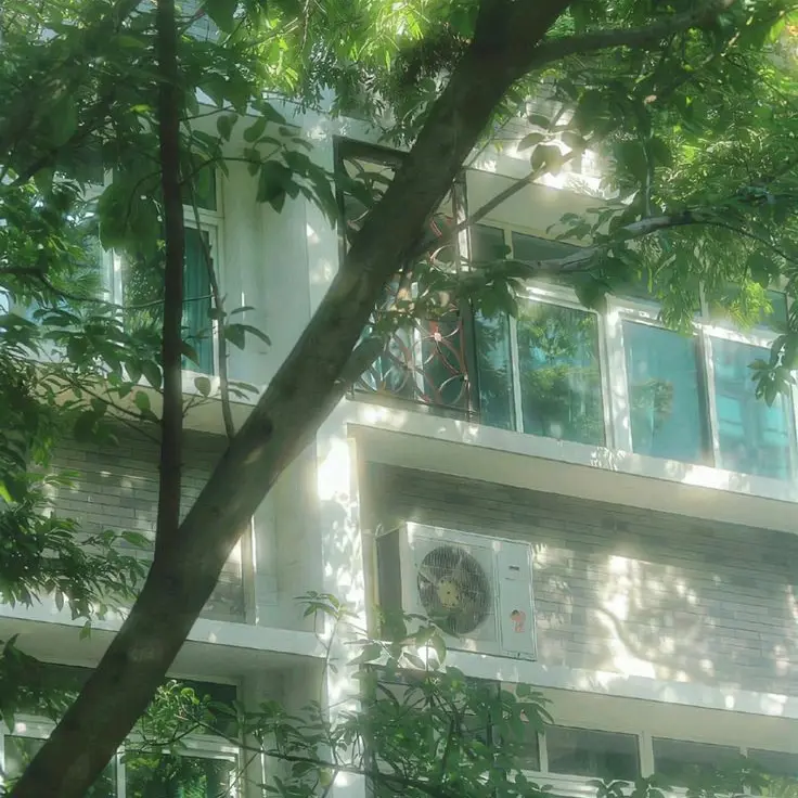 WRYILAHASTHL의 작은새와 빈 껍질