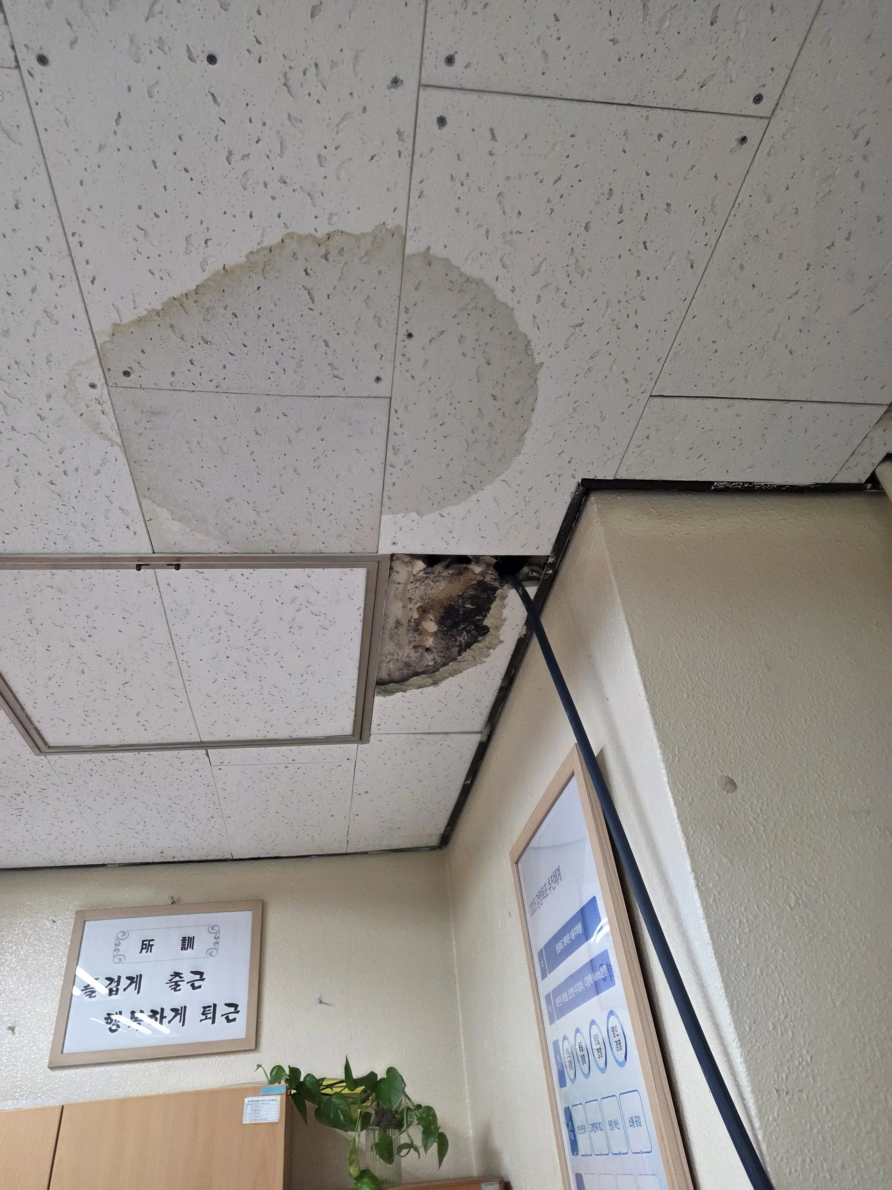 TartanMan0882의 스카이워커 가문의 이야기