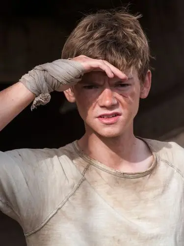 Tmrfan4ever의 TMR- Newt
