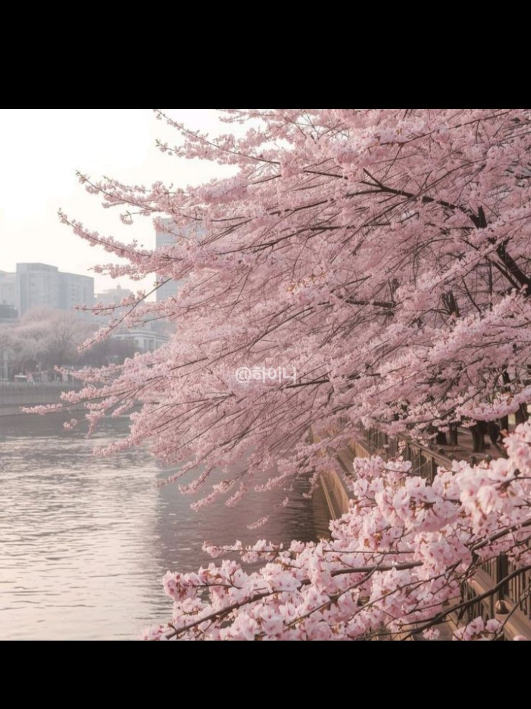 요괴학교 대표 이미지