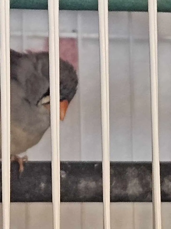 SilentMall6604의 형누나들