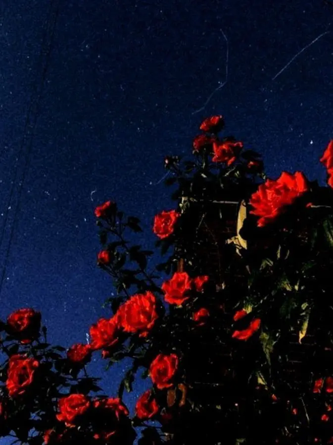 Slepteabag의 구현태