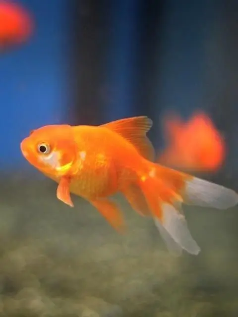 Love_EMOTION의 주는 것보다 받는 게 더 익숙해서