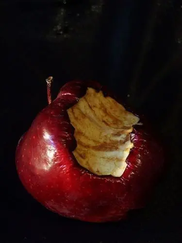 .......s의 다정한 왕자님을 조심해!