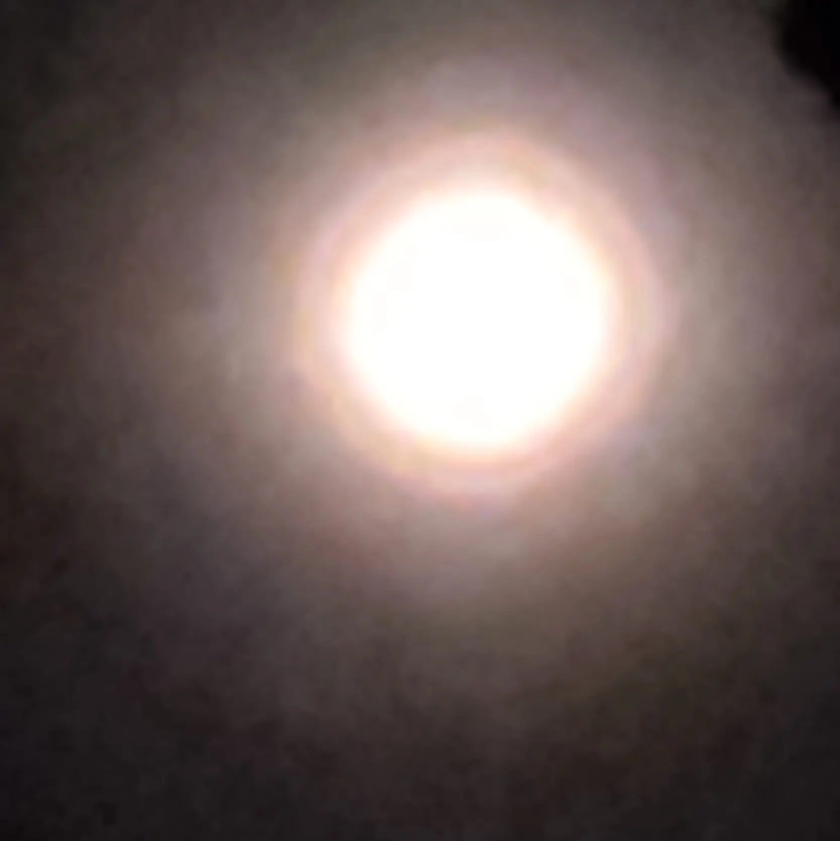 tofu_tofu_Soft_tofu의 좀비바이러스가 아닌 일상으로.