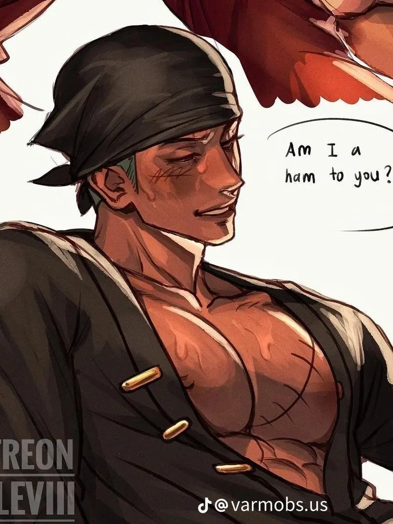 Crazyseal372의 Zoro- Husband