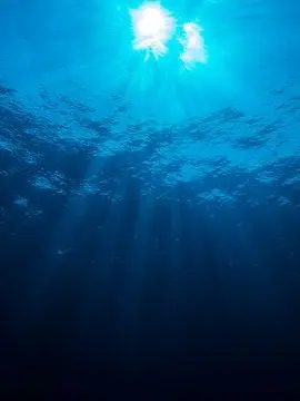 Sonio.exe의 深海の中で一人だけ。
