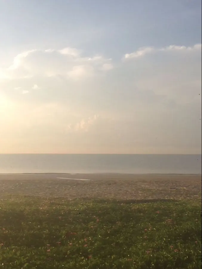 FrailWing3997의 君が消えた夏、僕らは嘘をついた