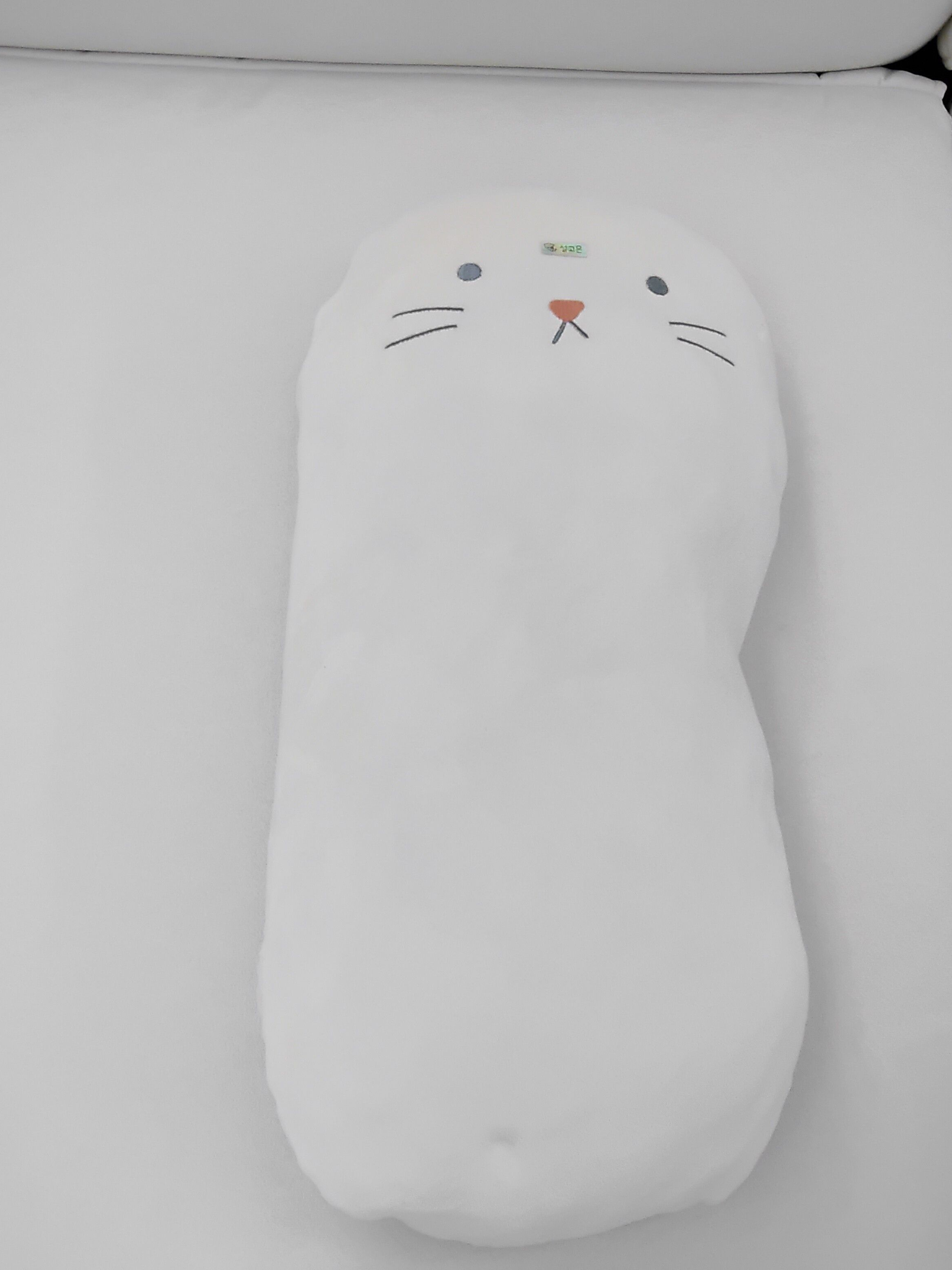 설아인과 대화하기(누나) 대표 이미지
