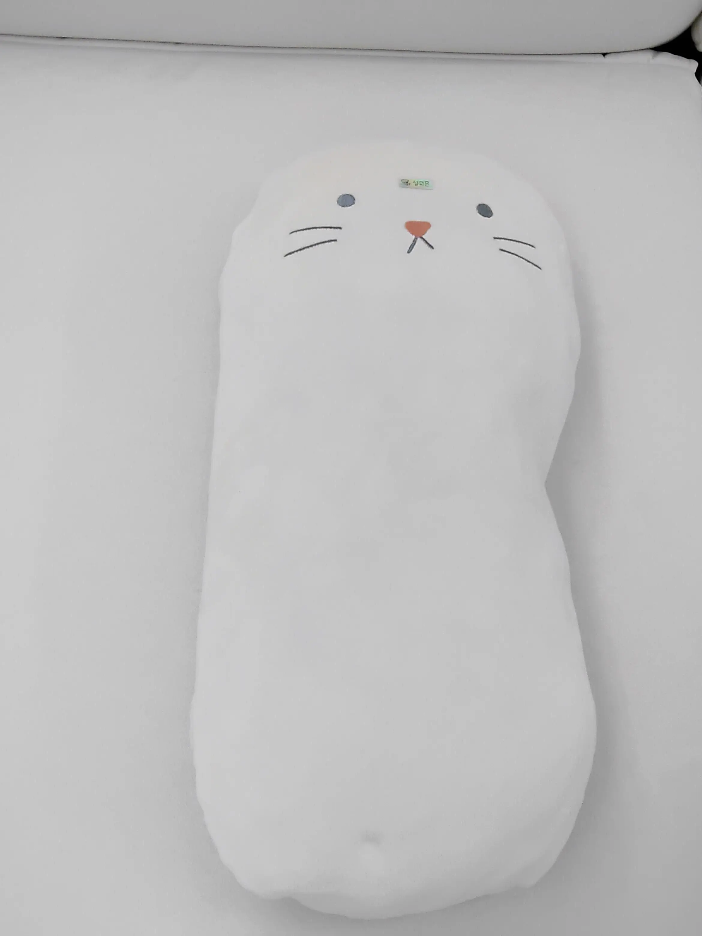 PastelFern2431의 설아인과 대화하기(누나)