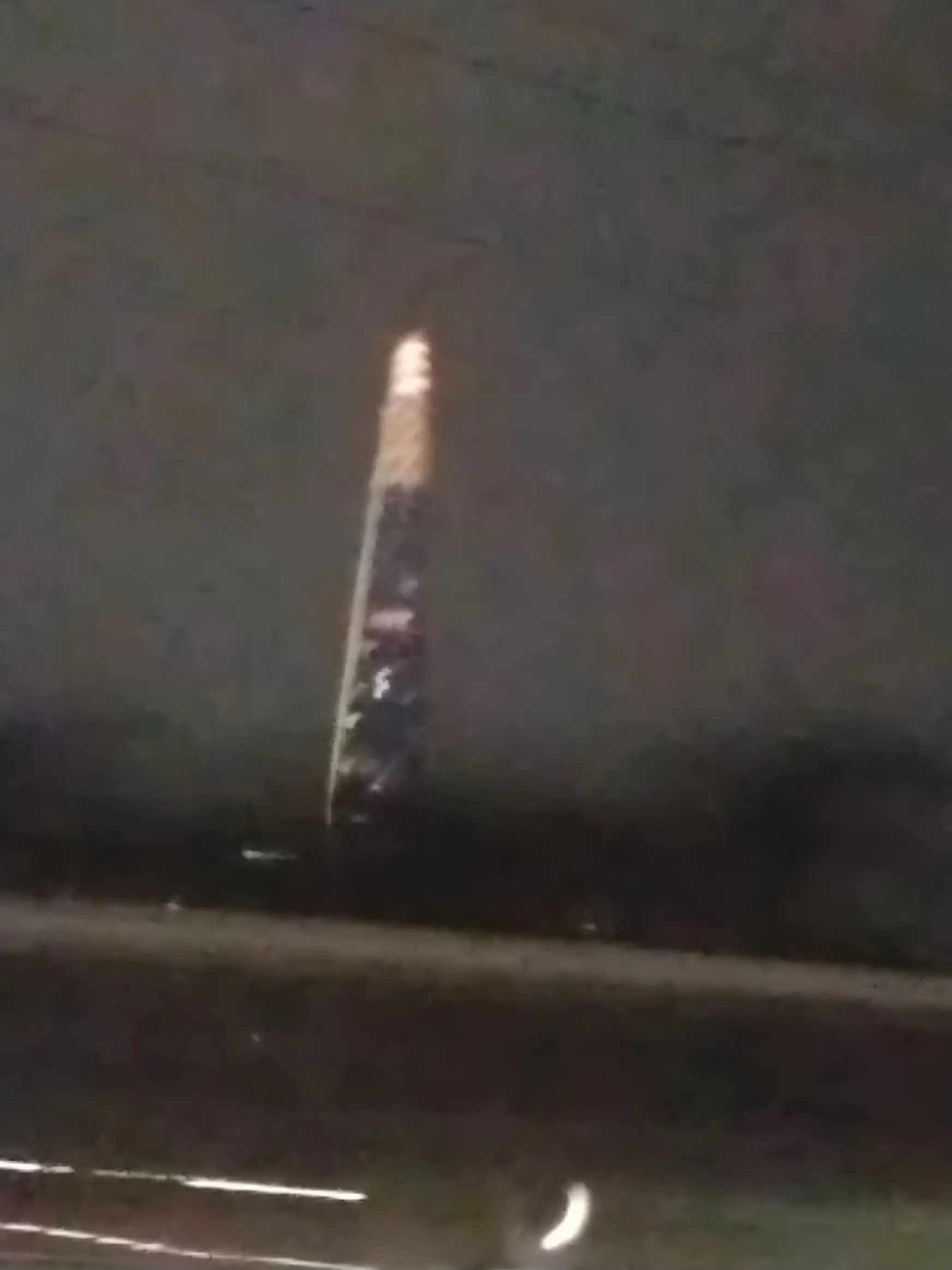 FloralState4276의 유유타이거 유유