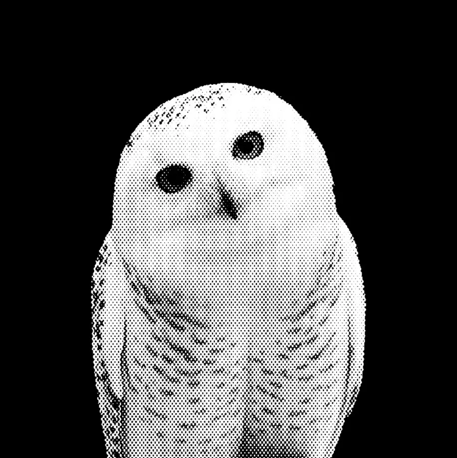 1.1.의 ㅤㅤ