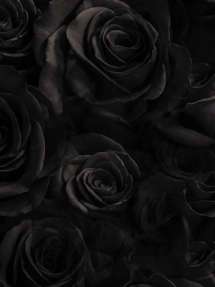 DaringTwig2735의 プランツドール