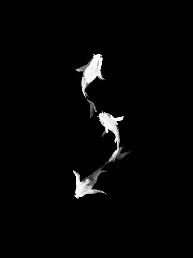 r._ezrc의 推し活