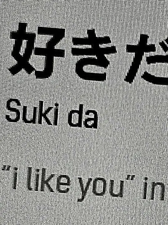 Py_의 저 여친 생겼어요.ᐟ