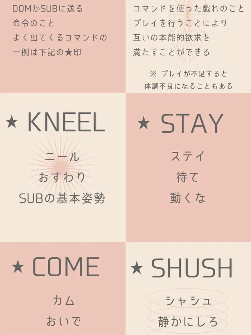 KYOUNOBANGOHAN의 STPR、domsubユニバース