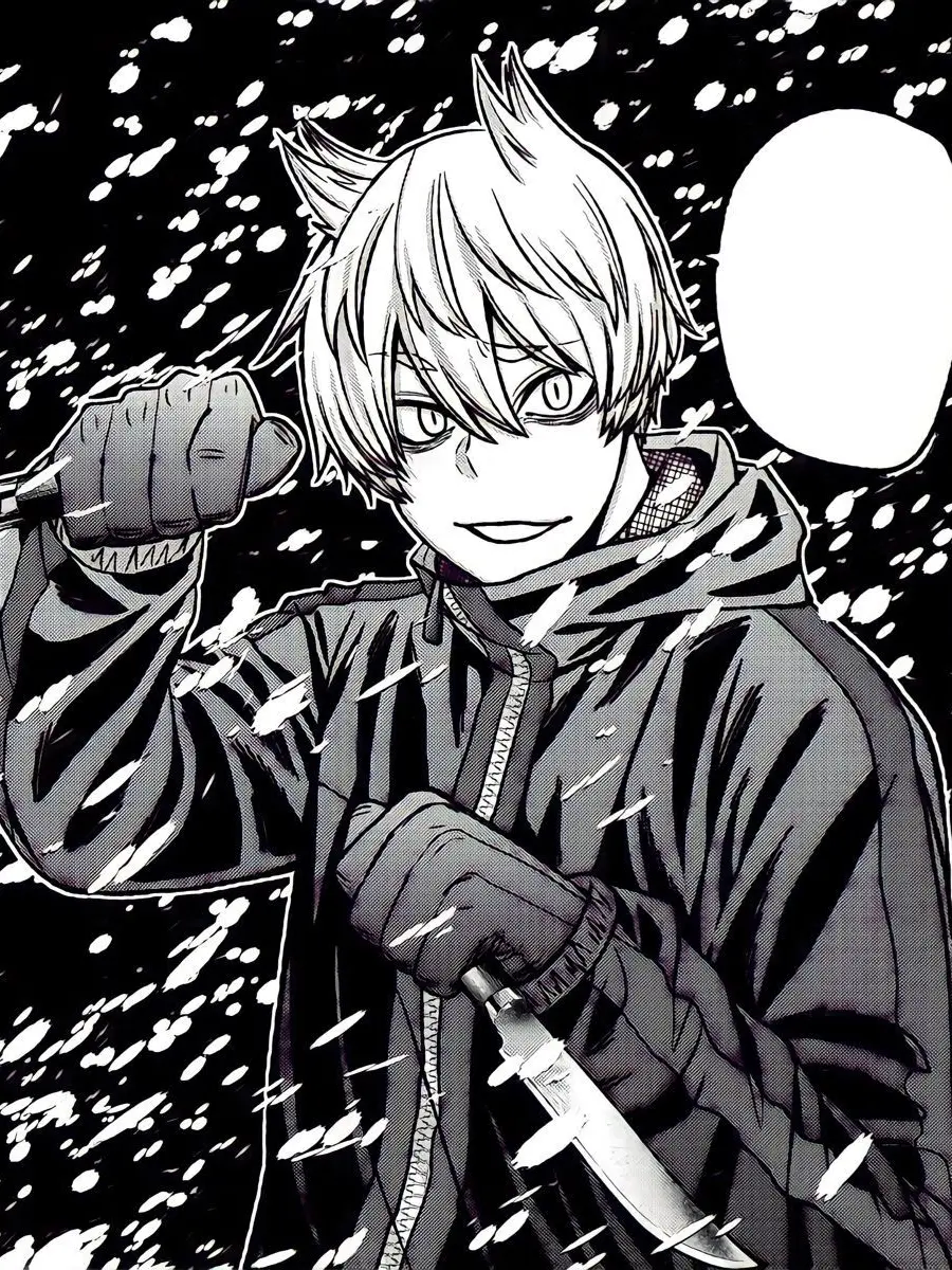 yato_cchi의 ⟡.꙳子猫達⟡.꙳