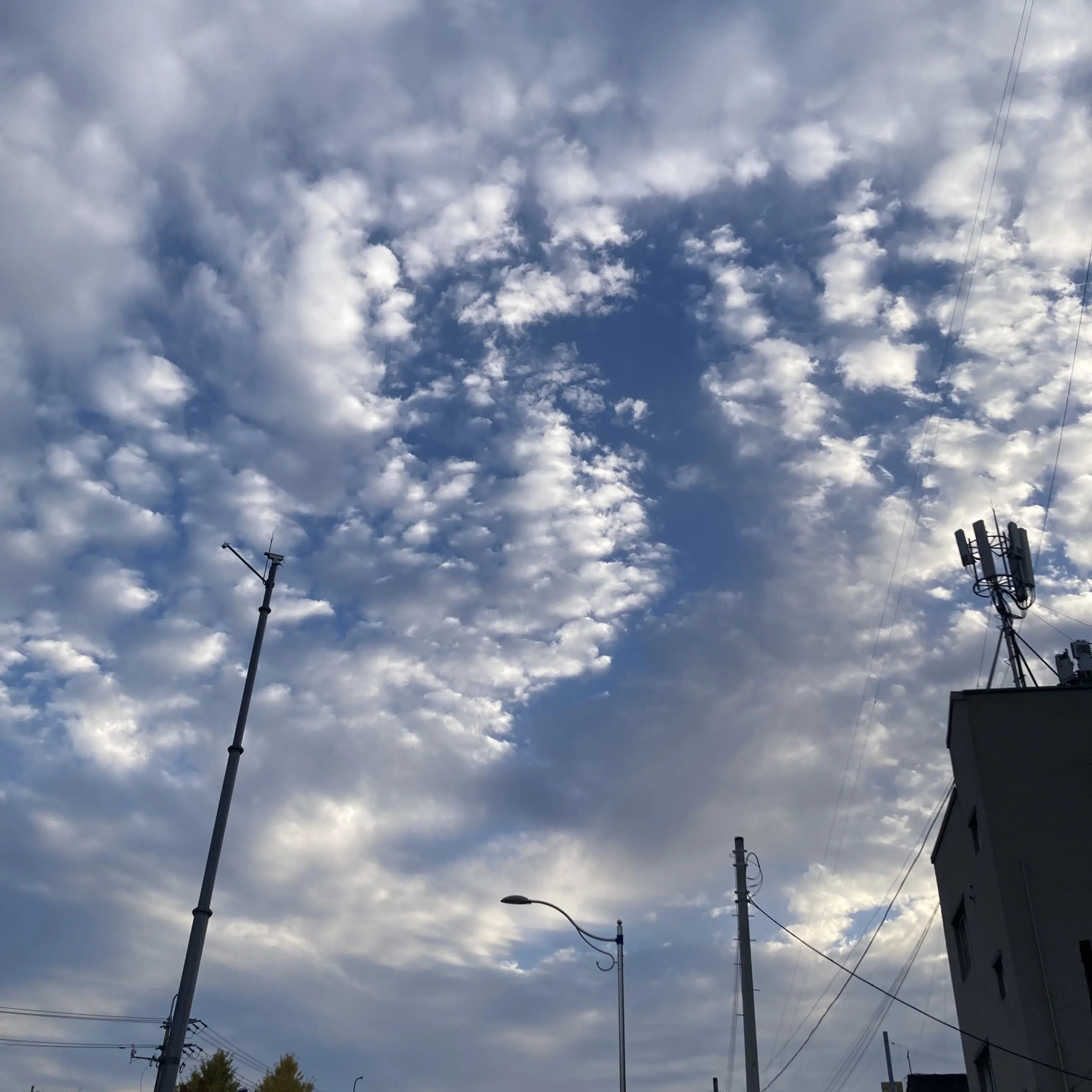 MilkyWayCookieVeryCute의 남매 (비스트+에이션트)