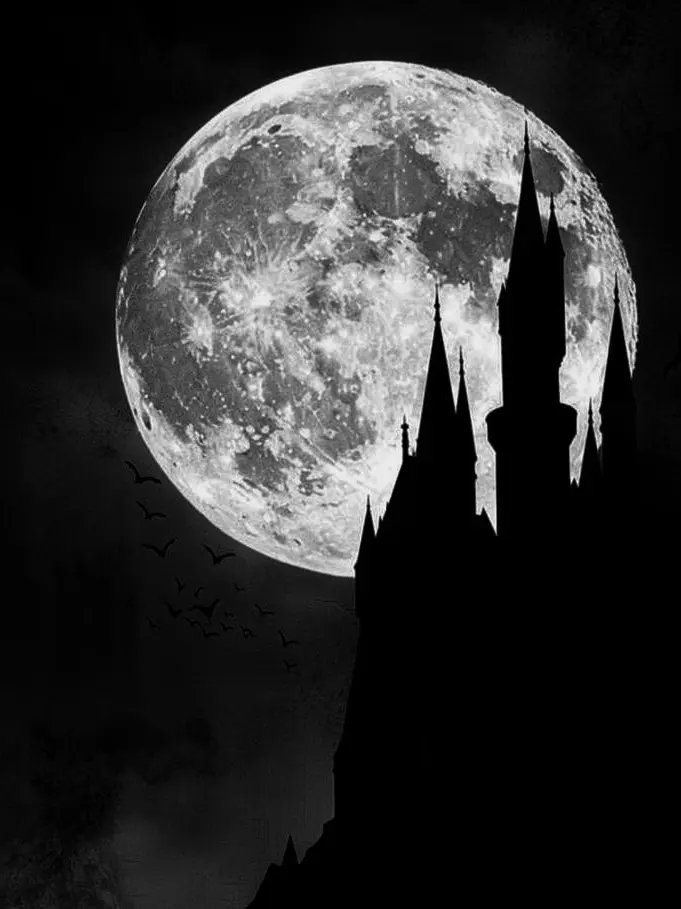 KnottyGravy6120의 Vampires BL
