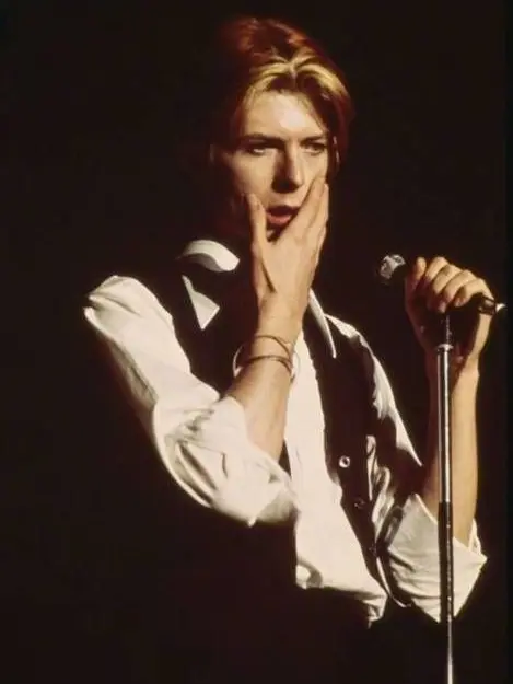 Solstice84의 David Bowie