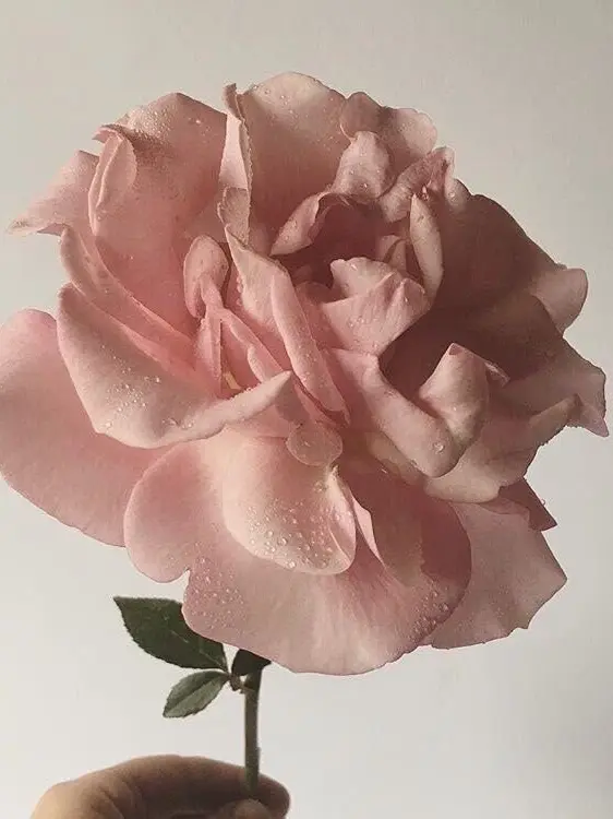m_0312의 밥풀