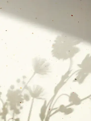 SYAKEHUTAKIGOUSYA114514의 精神科医