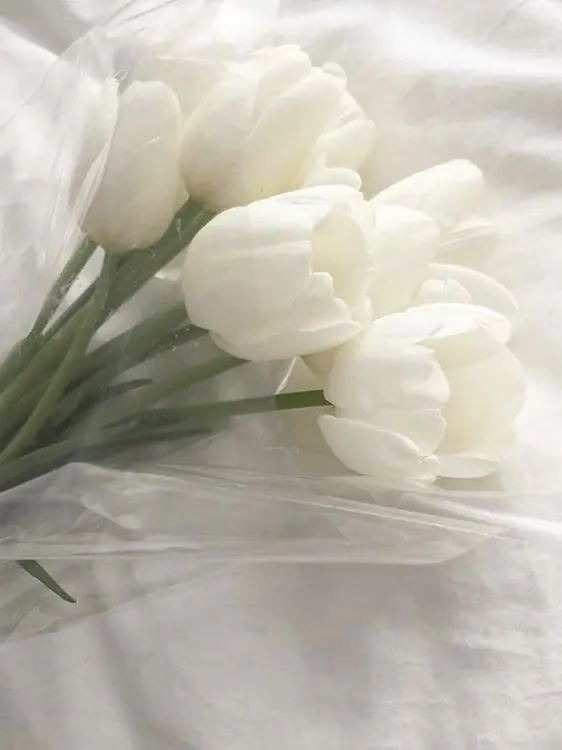 FlatSmoke7438의 伊藤 佐江